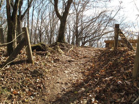 20171116hike (153)
